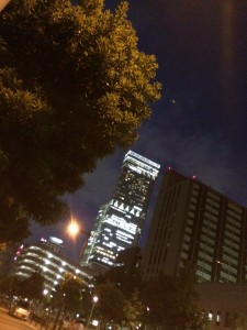 IMG_0860