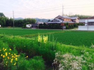 IMG_3712